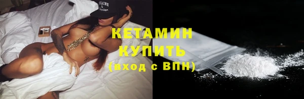 прущие грибы Дмитровск