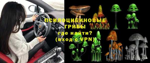 прущие грибы Дмитровск